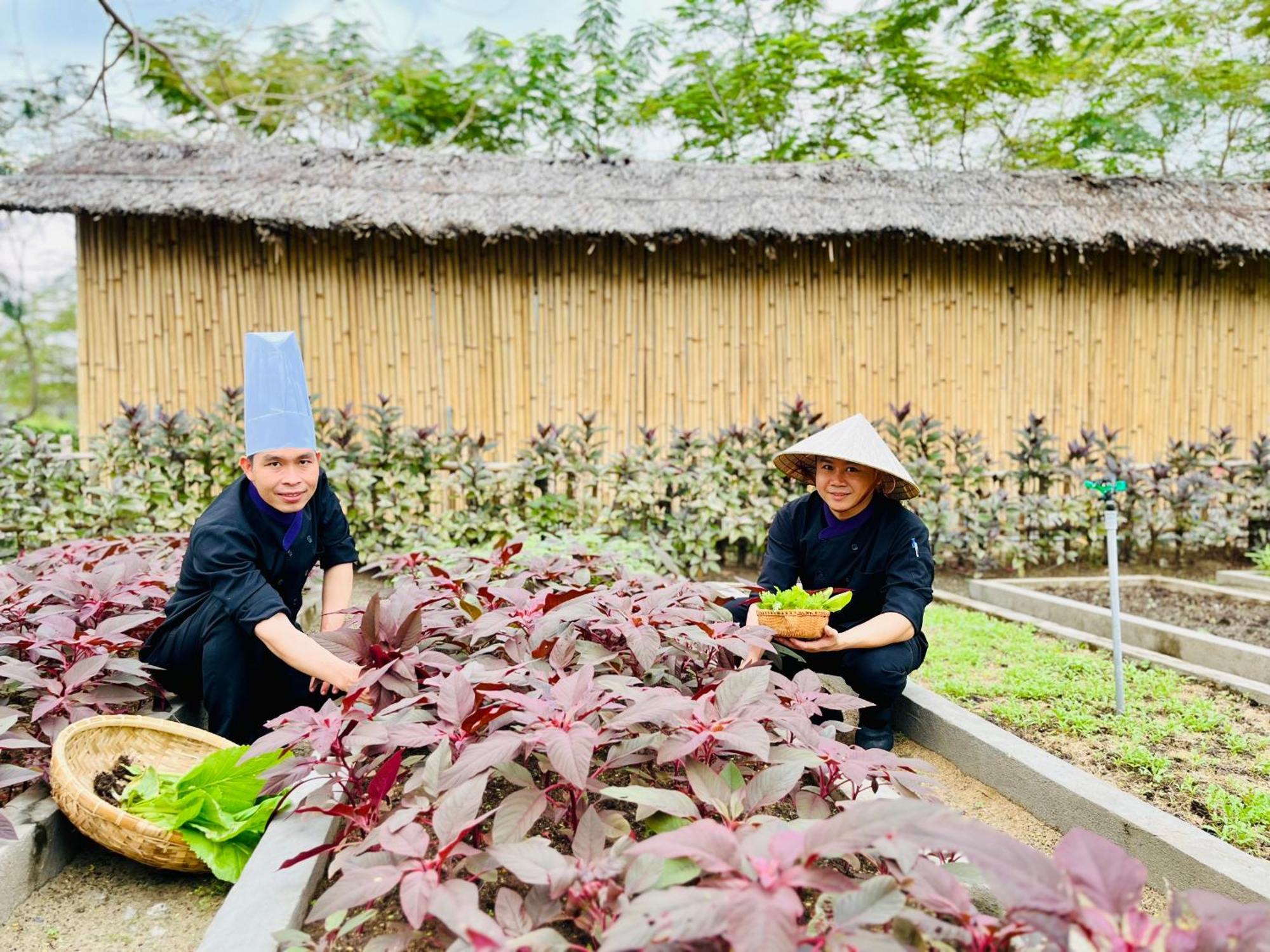 Ttc Van Phong Bay Resort - Himalaya Sauna & Steam Retreat Included Ấp Ninh Hòa  Exterior foto